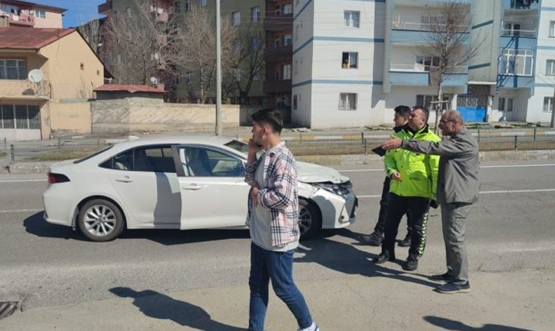 Başıboş hayvanlar kazaya sebep oldu