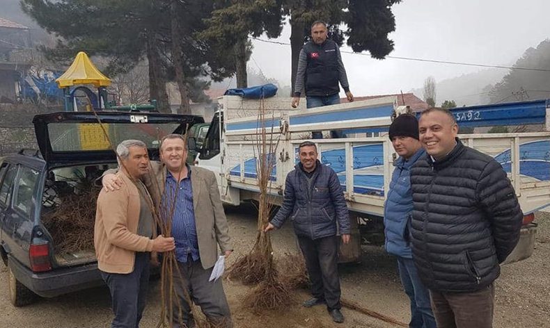 Atıl alanlar kestanelerle dolacak