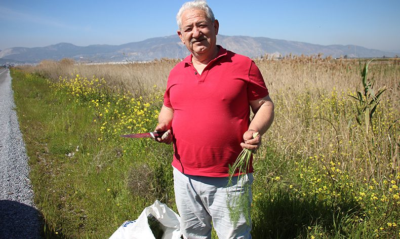 Yol kenarından topladığı otlardan para kazanıyor