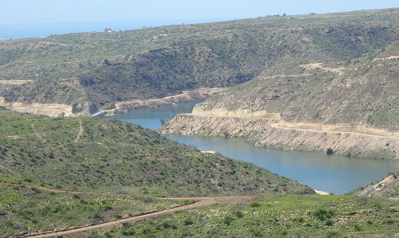Manavgat’ta yanan ormanlar yeniden filizleniyor