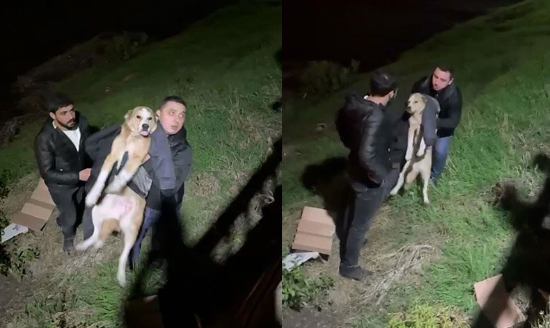 İftara giderken sokak köpeğinin hayatını kurtardı