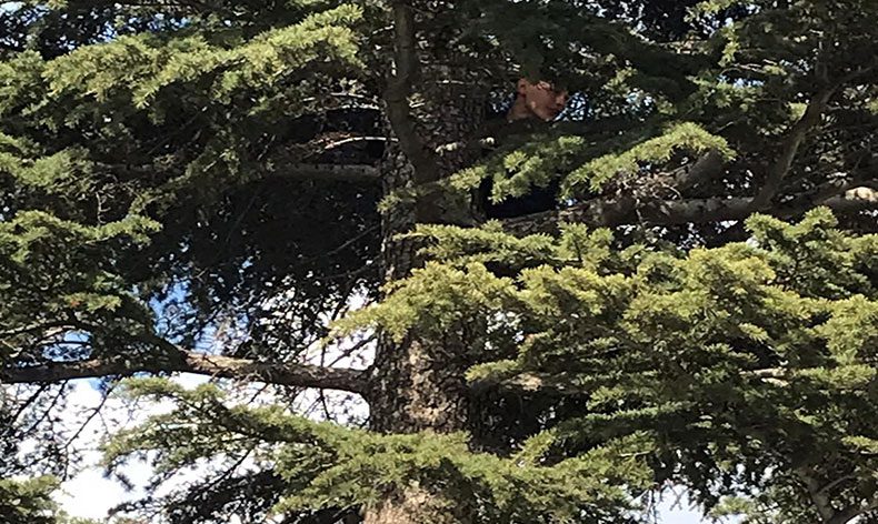 Çıktığı ağaçtan inemeyen çocuğu itfaiye kurtardı