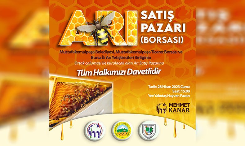 Türkiye’nin ilk arı pazarı Mustafakemalpaşa’da