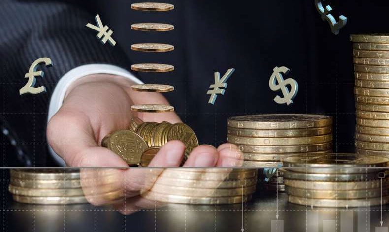 Yerli yatırımcıların finansal varlıkları