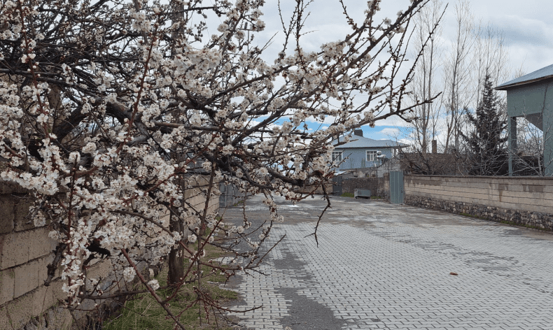 Adilcevaz’da iki mevsim bir arada