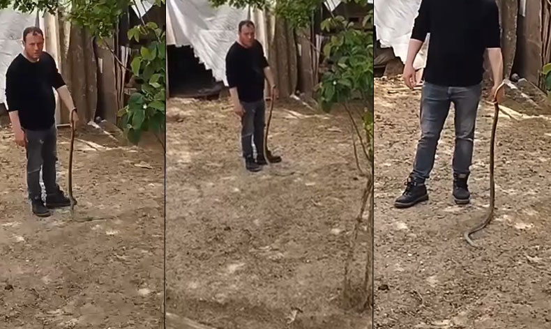 Bursa’da bahçesine giren yılanı elleriyle yakaladı