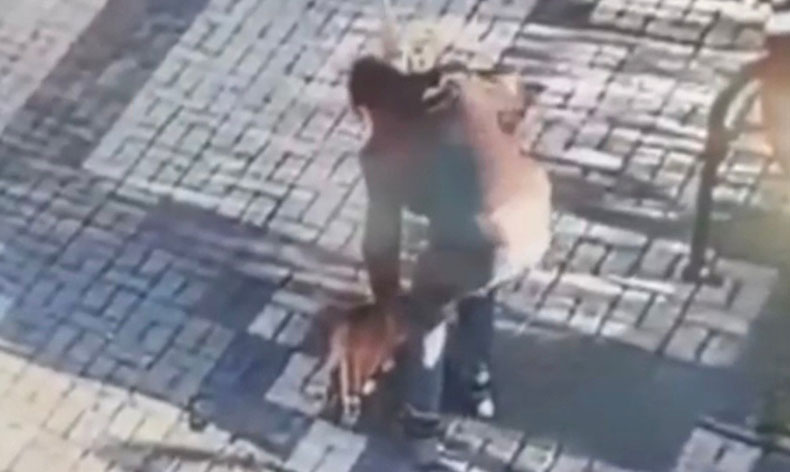 14 yaşındaki çocuk kediyi mama ile dövdü