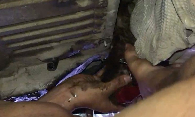 Otomobile giren kediyi çalışanlar kurtardı