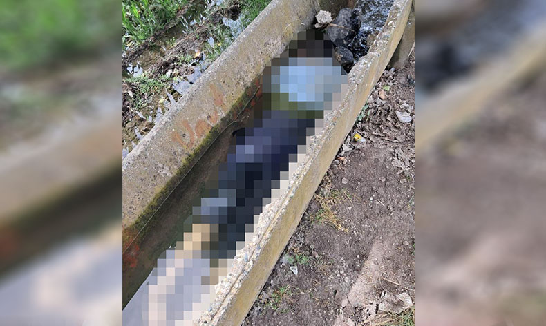 Sulama kanalında kadın cesedi bulundu