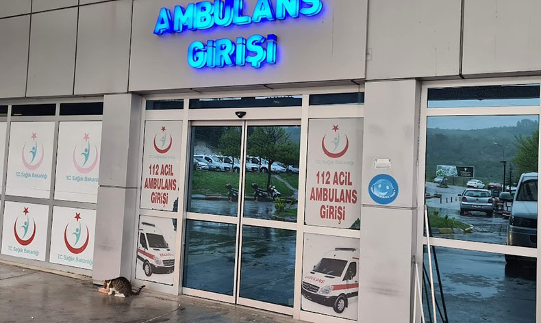 Yüksekten düşen kadın yaralandı