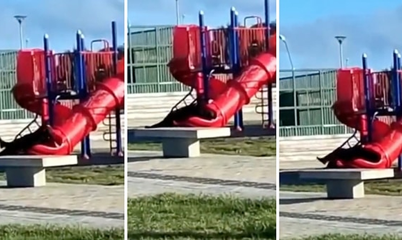 Devlet Başkanı parkta kaydırağa sıkıştı