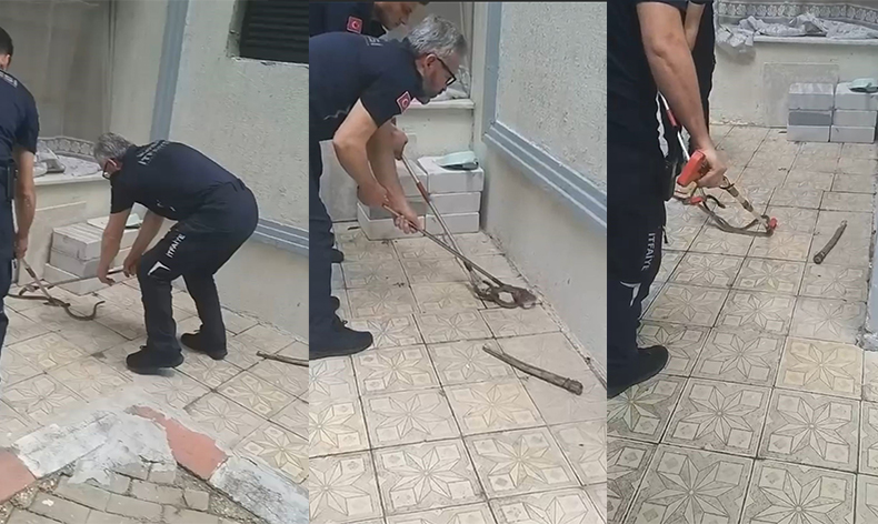 Bursa’da yılan paniği
