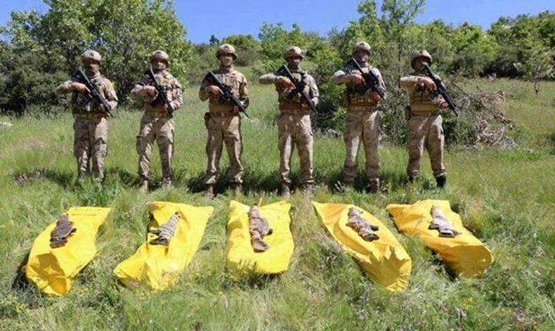 Şırnak’ta 5 terörist etkisiz hale getirildi