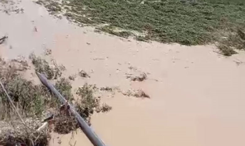 Dolu ve sel çiftçiyi vurdu