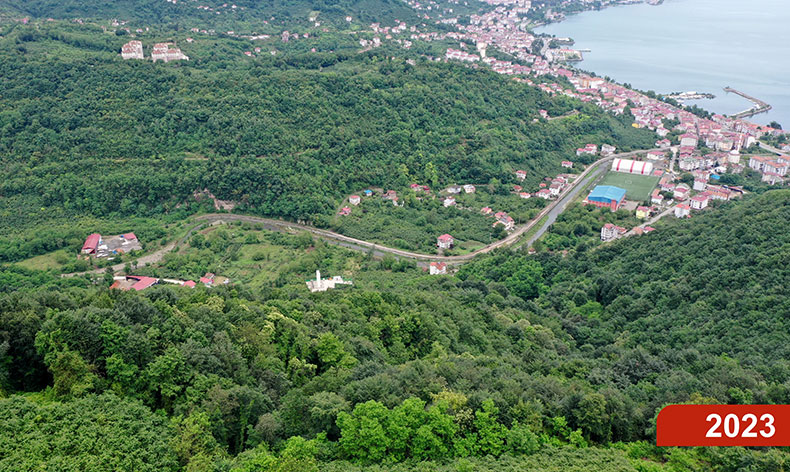 Çöp dağından yeşil ormana