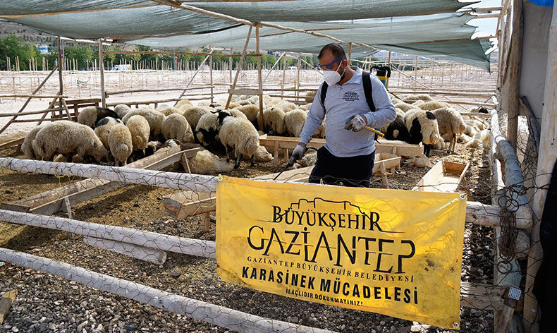 Kurban bayramı tedbirleri aralıksız devam ediyor
