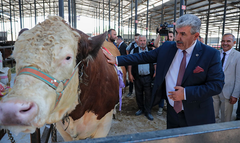 Canlı Hayvan Pazarı açıldı