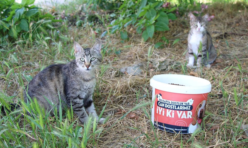 Can dostlar unutulmadı