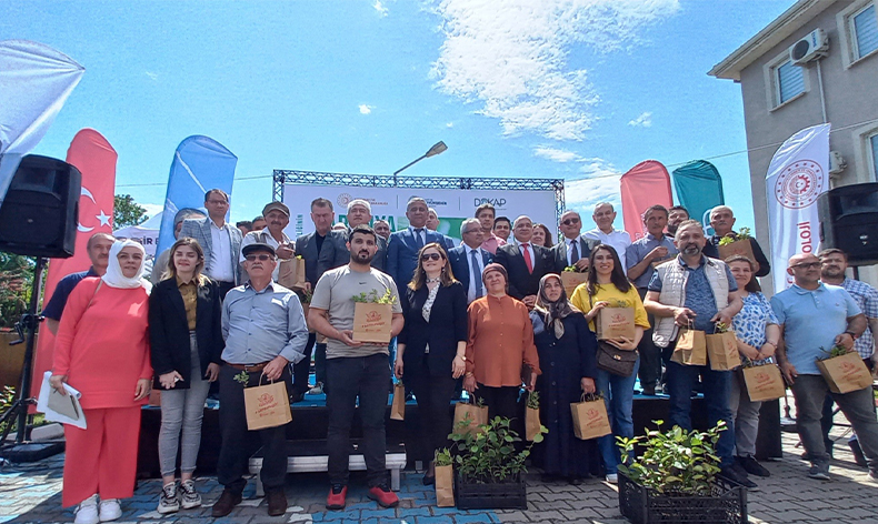 Üreticilere ‘aronia’ fidanı dağıtıldı