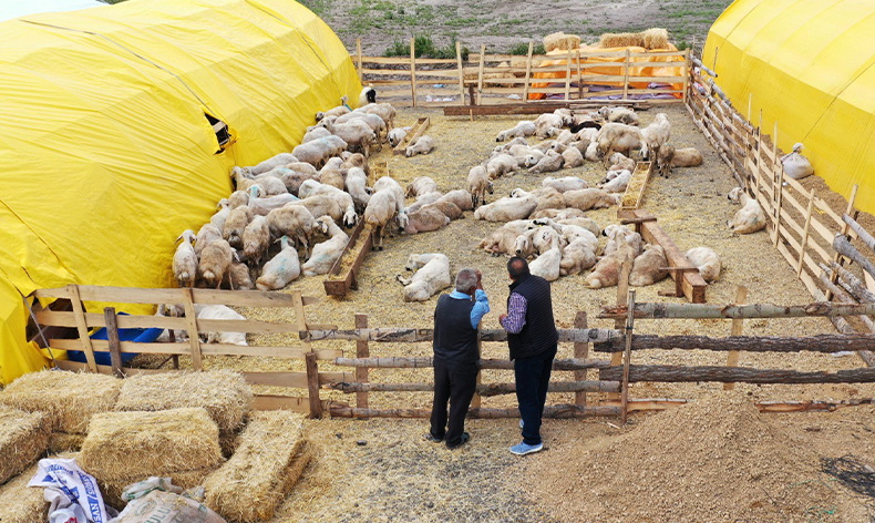 Kurban pazarı kuruldu, satışlar başladı