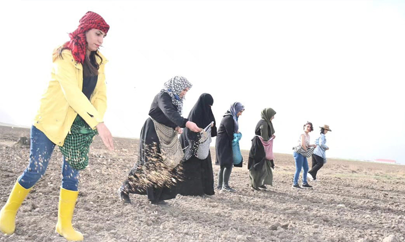 Doğubayazıtlı kadınlar toprağa hayat verdi