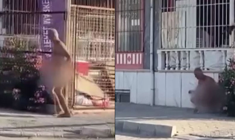 Sokakta çıplak koşan şahıs gözaltına alındı