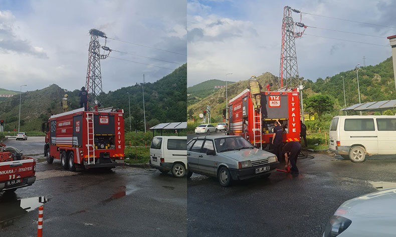 Leylek yuvasına yıldırım düştü