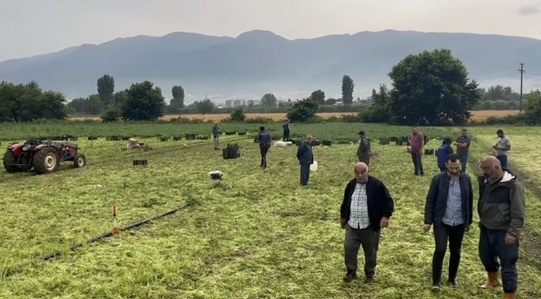Bursa’da yıldırım düşmesi sonucu hayatını kaybetti
