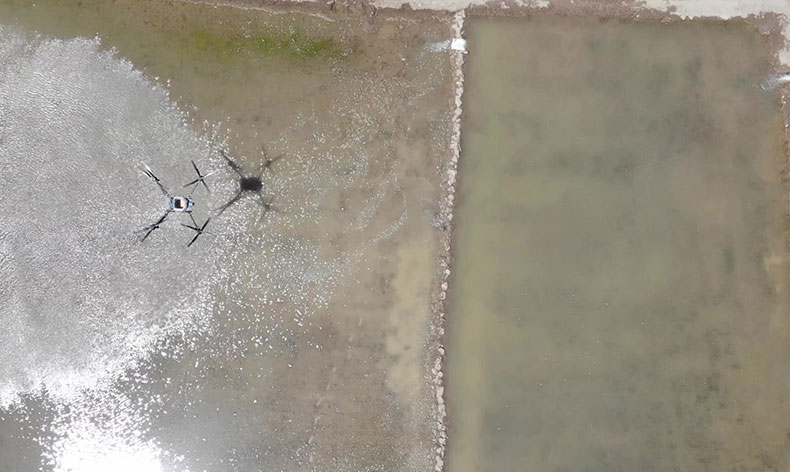 Tarımda dron dönem