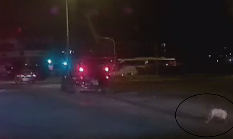Aracın bagajından yolun ortasına düştü