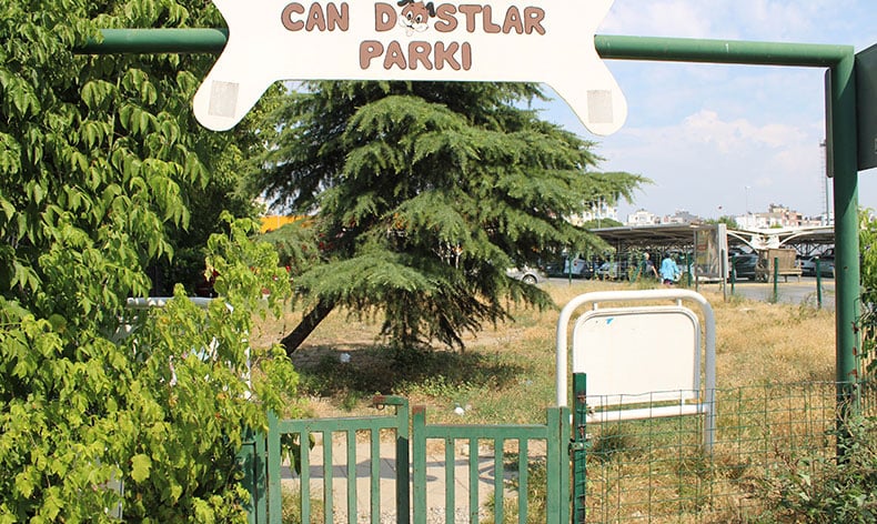 Can dostlar köpek parkı sahipsiz kaldı