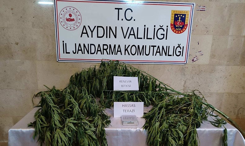 Aydın’da uyuşturucu operasyonu