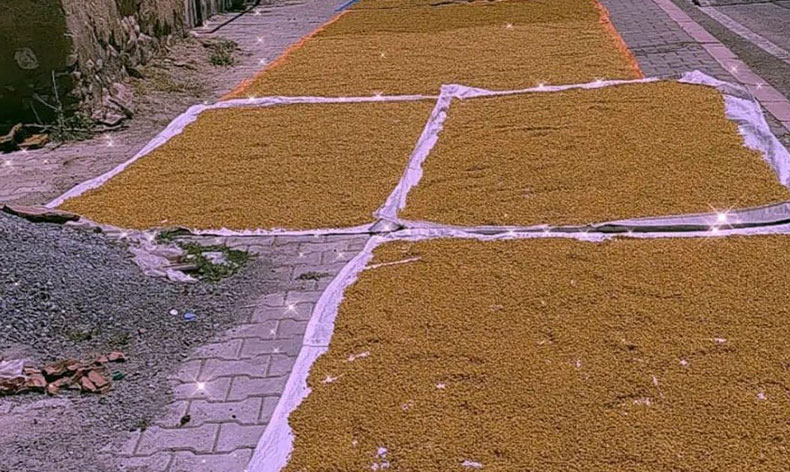 Malatya’da kışlık bulgur mesaisi başladı