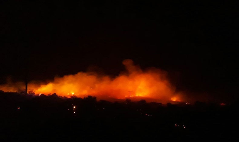 Urla’da makilik alanda korkutan yangın