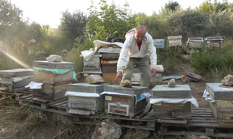 Bursa’da arıları kovanlarıyla birlikte çaldılar