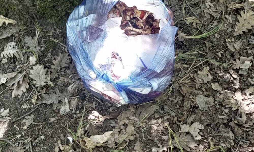Ormanlık alan yine çöplüğe döndü