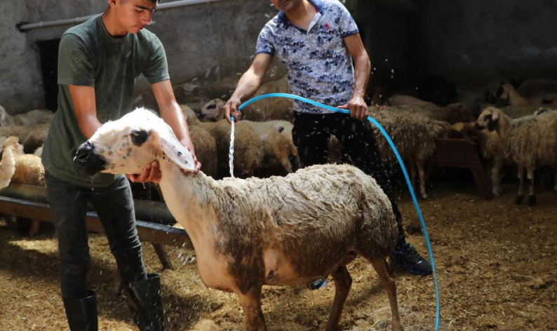 Sıcaklık 52 dereceye ulaştı