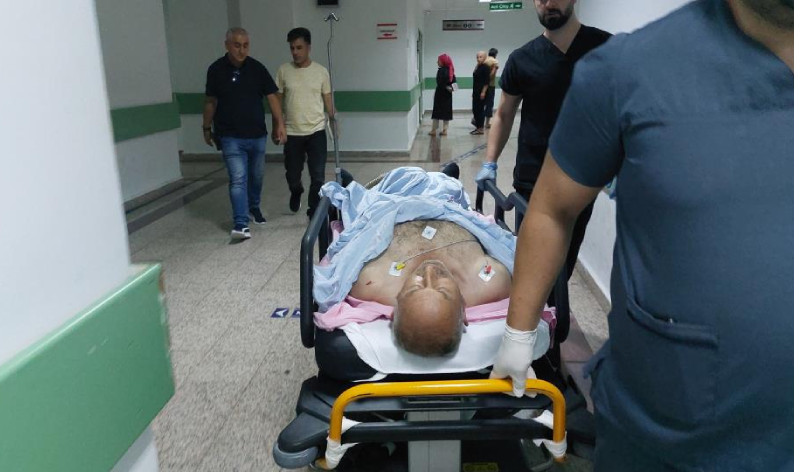 Kedileri kovduğu için bıçaklı saldırıya uğradı