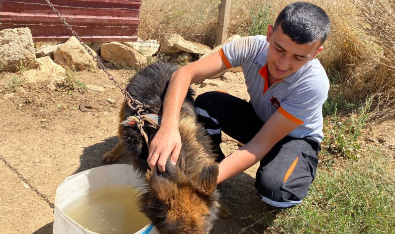 İlaçsız tedaviyle hayatlarına dönüyorlar