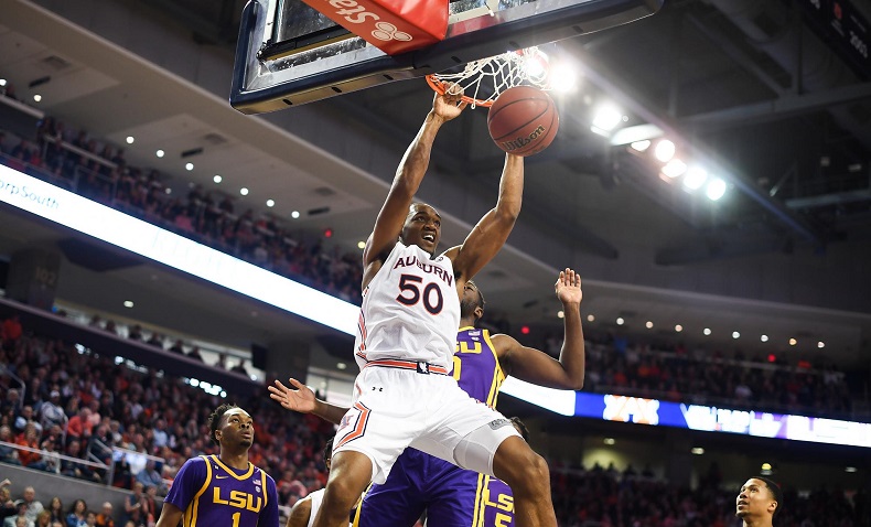 TOFAŞ Basketbol Takımı Austin Wiley’i transfer etti