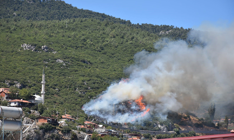 İzmir Kemalpaşa’da orman yangını