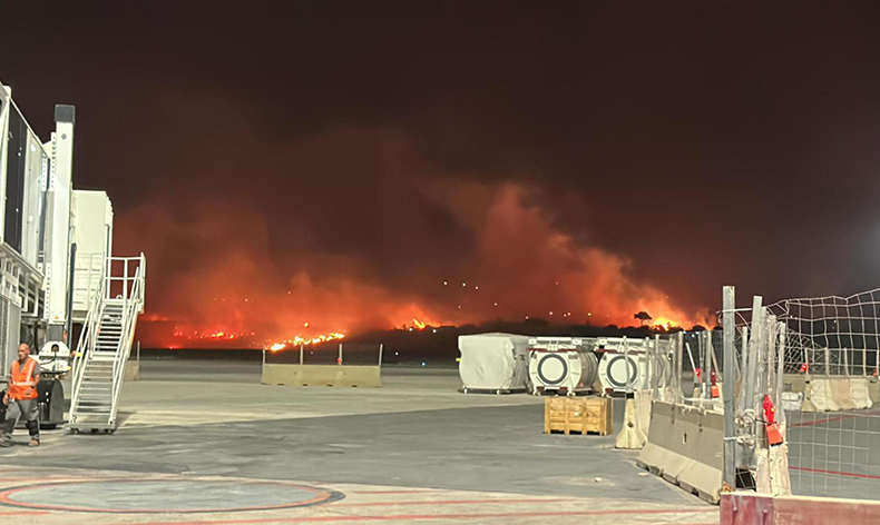 Sicilya’da orman yangını başladı