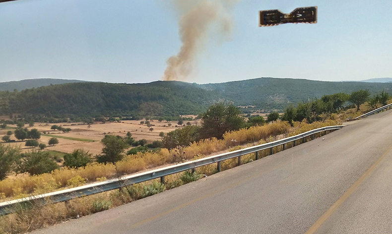 Muğla’da orman yangını