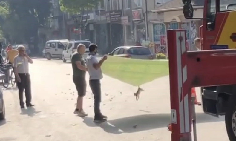 İnegöl’de esnaf ve itfaiyeden kedi operasyonu