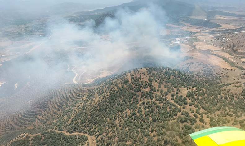 Ekin tarlasında başladı, ormana sıçradı