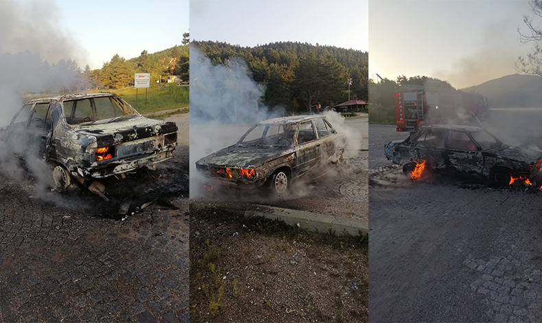 Park halindeki otomobil alevlere teslim oldu