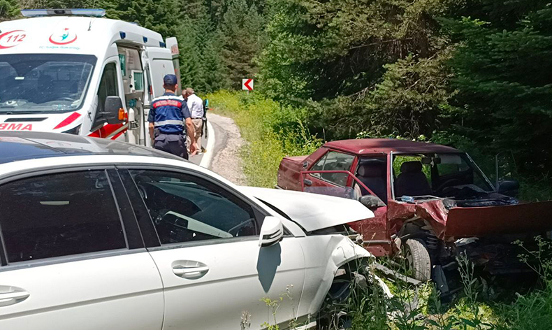 Çilek toplamak için durdu, kazaya sebep oldu