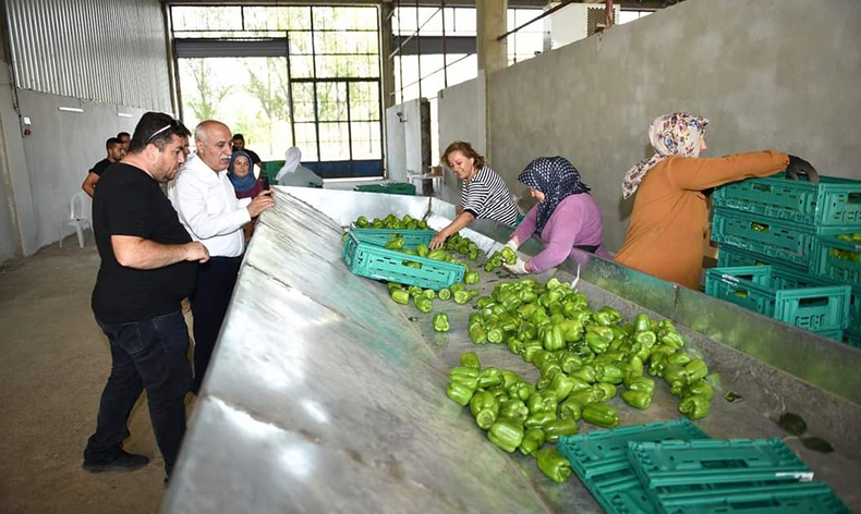 Yenişehir biberi dünyaya pazarlanıyor