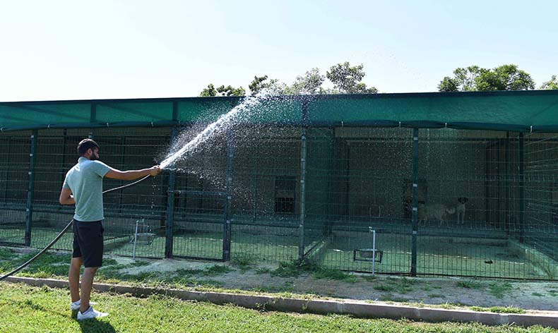 Köpekler suyla, kediler klimayla serinletiliyor
