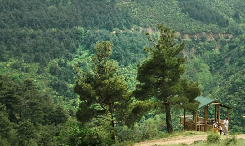 Bursa’da ormanlarda ateş yakmak yasaklandı